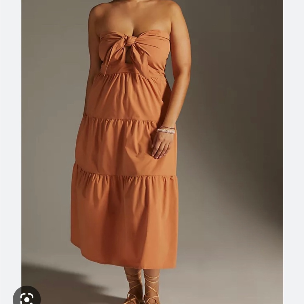 Anthropologie Strapless Dress by Blue Tassel NWT